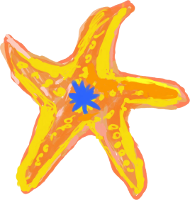 _images/starfish_small.png